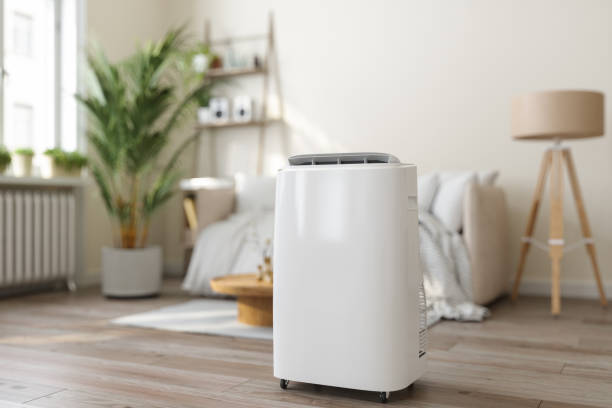Best HVAC air duct cleaning  in Dalhart, TX